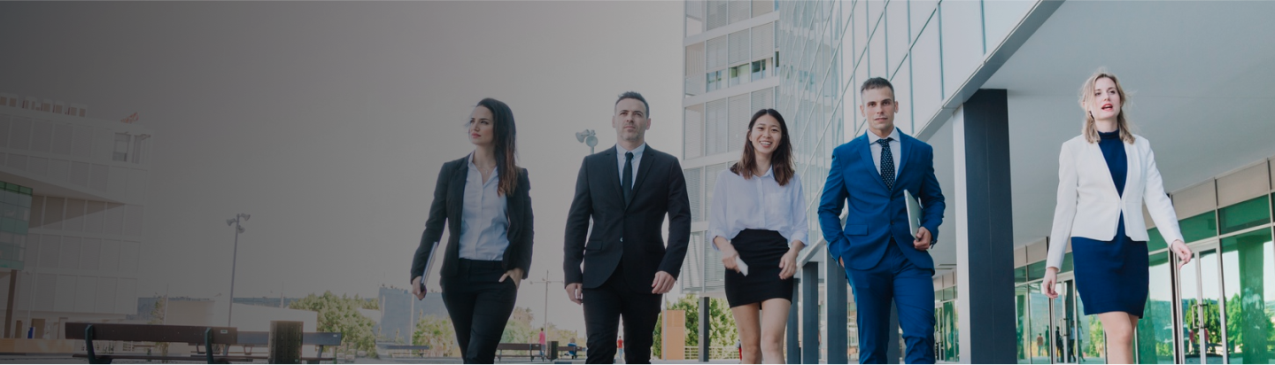 Banner image — luxury limousine